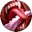 Taste of Blood